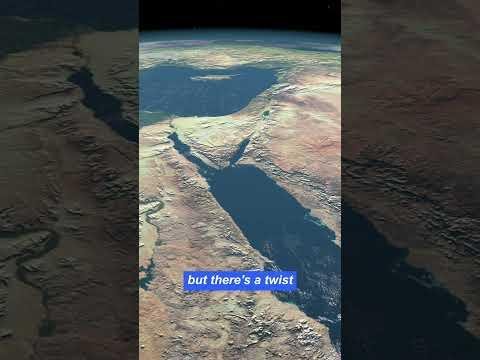 Sea Freight Rates Decline Globally, Middle East Routes Thrive