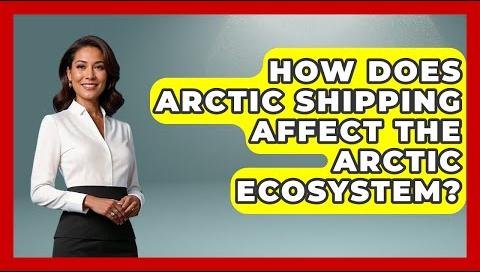 Arctic Shipping Surge Threatens Delicate Ecosystem, Experts Warn