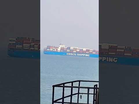 COSCO Shipping Expands Fleet with 14 New Vessels